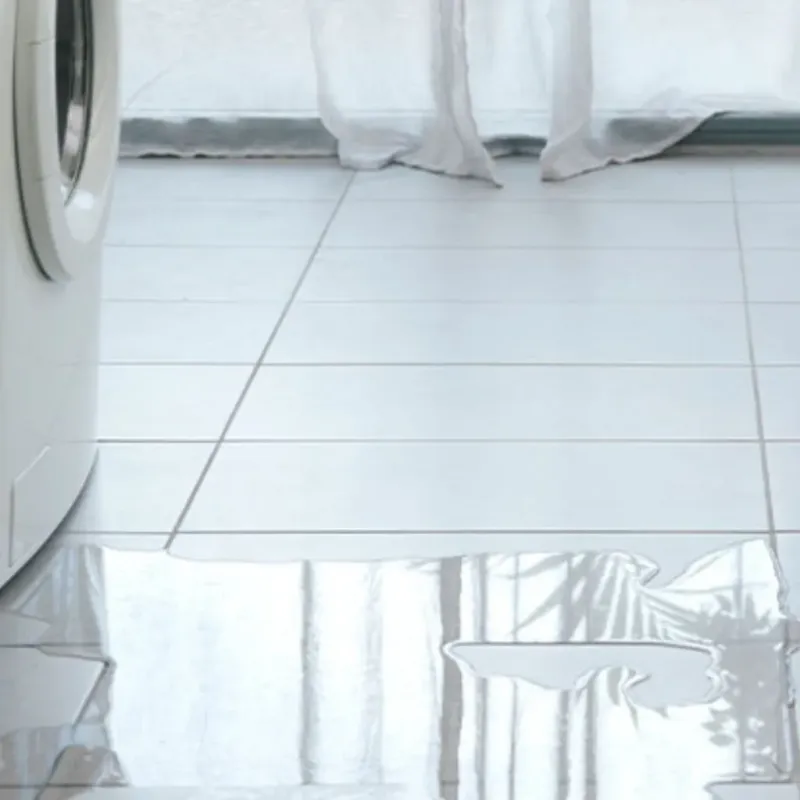 Appliance Leak Cleanup in Burnham, ME