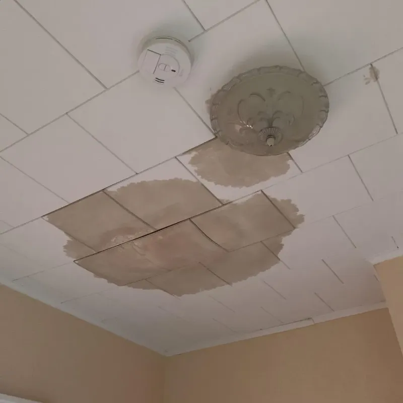 Ceiling Water Damage Repair in Burnham, ME