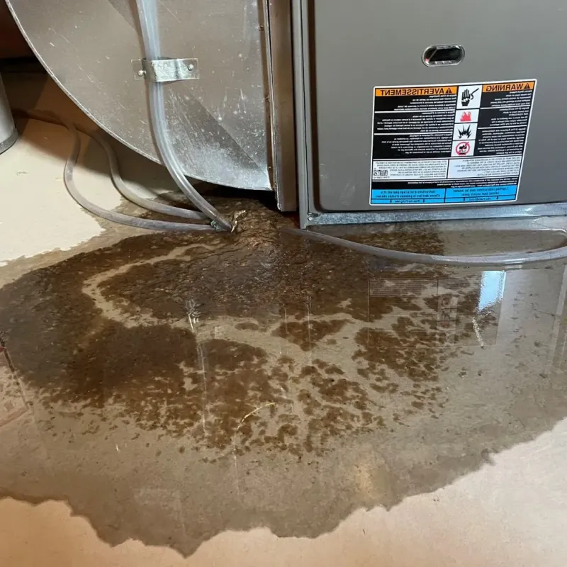 Pipe Burst and Leak Restoration in Burnham, ME