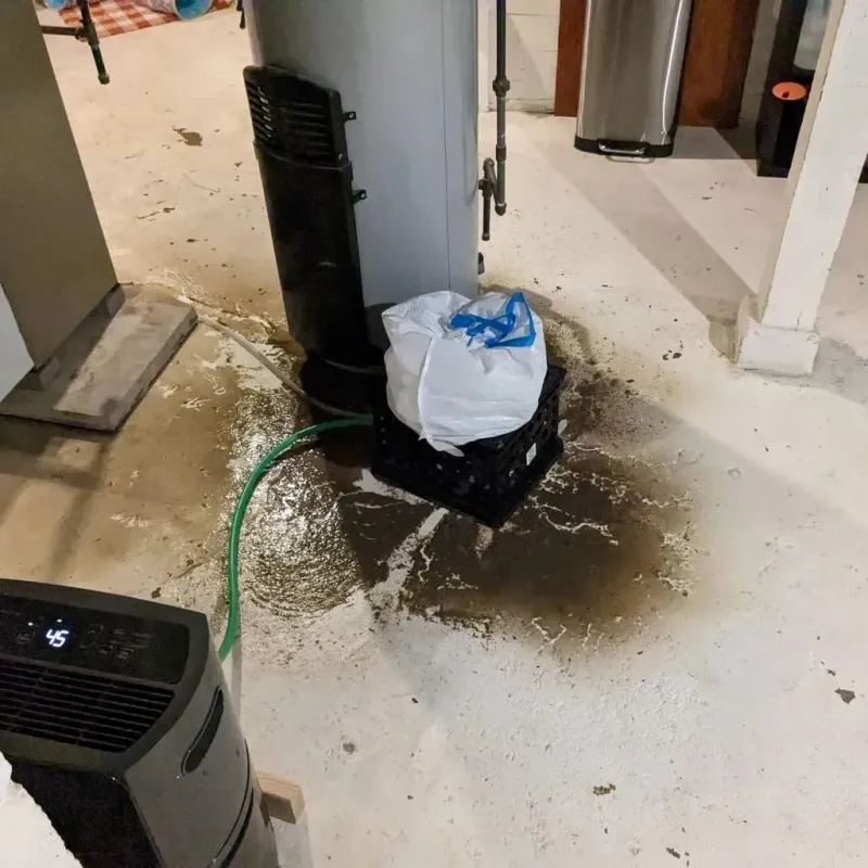 Sewage Backup Cleanup Service in Burnham, ME